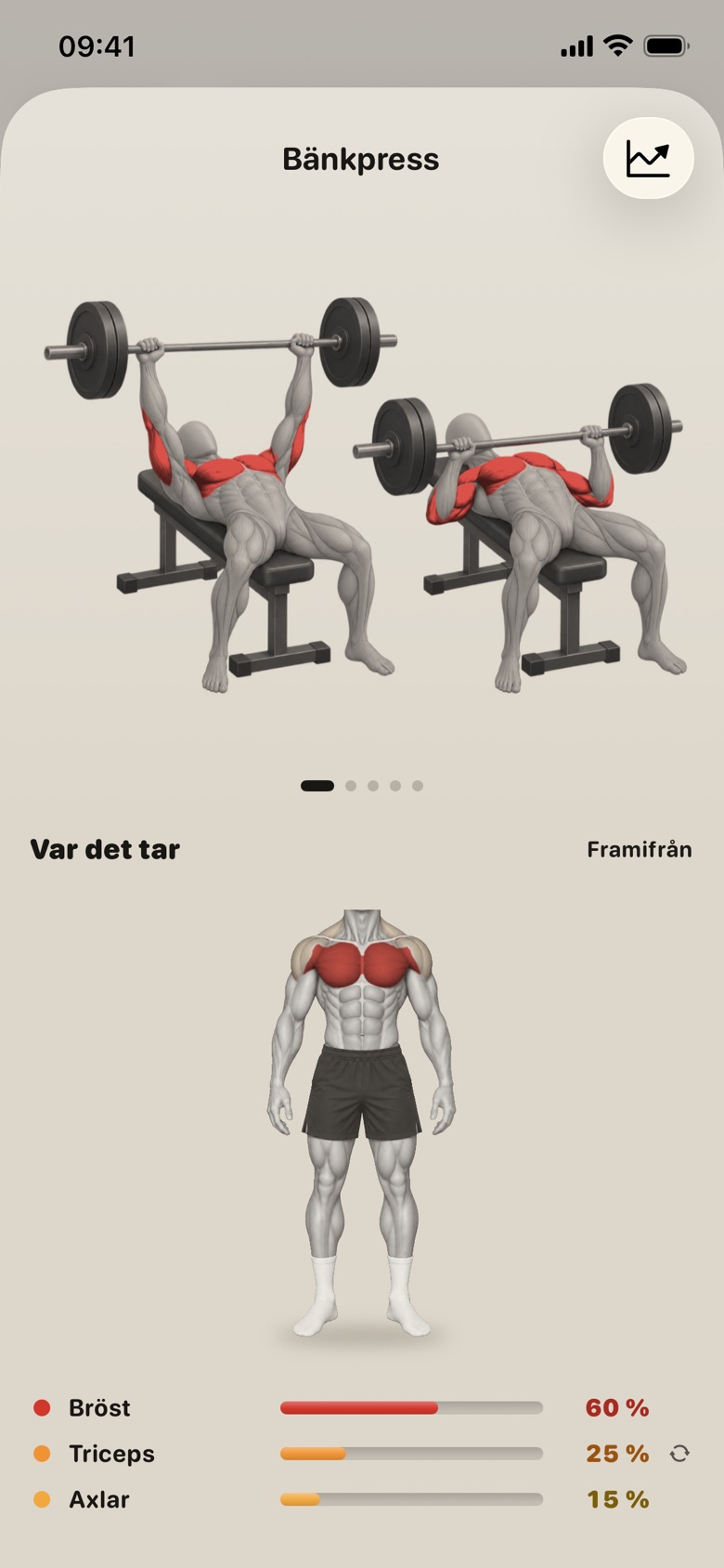 Bänkpress med ritad bild och hur arbetet fördelas mellan musklerna